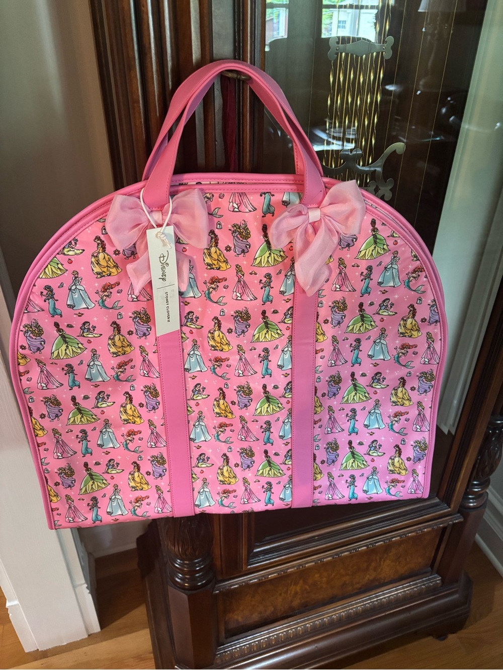 *sold* NWT Disney Stoney Clover Lane Pink Princess Print Garment Bag